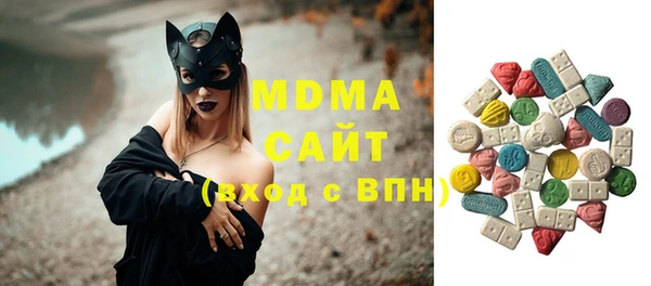 индика Алексин