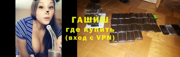 индика Алексин