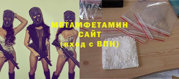 индика Алексин